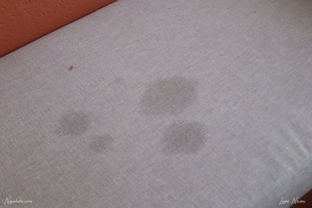 Club Himalaya stains outside